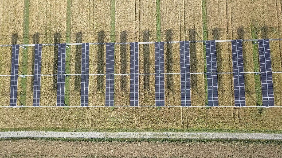 Vue aérienne d'une centrale agrivoltaïque au-dessus d'un champ de céréales